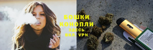 сатива Вязьма
