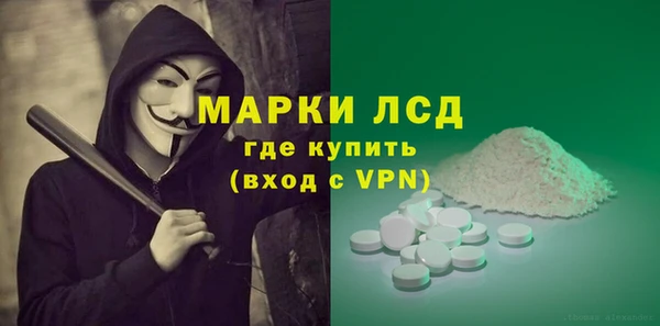 сатива Вязьма
