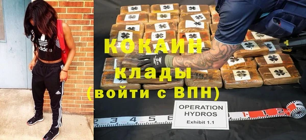 сатива Вязьма
