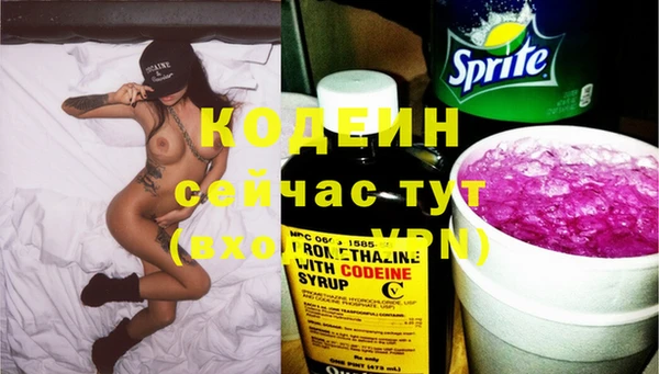 сатива Вязьма